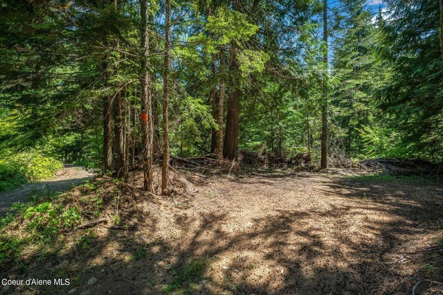 NNA Grouse Creek Rd, Sandpoint, ID 83864 - photo 28