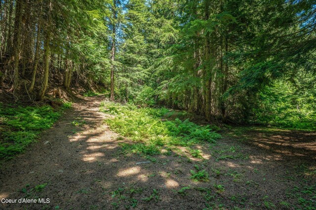 NNA Grouse Creek Rd, Sandpoint, ID 83864 - photo 29
