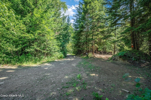 NNA Grouse Creek Rd, Sandpoint, ID 83864 - photo 15