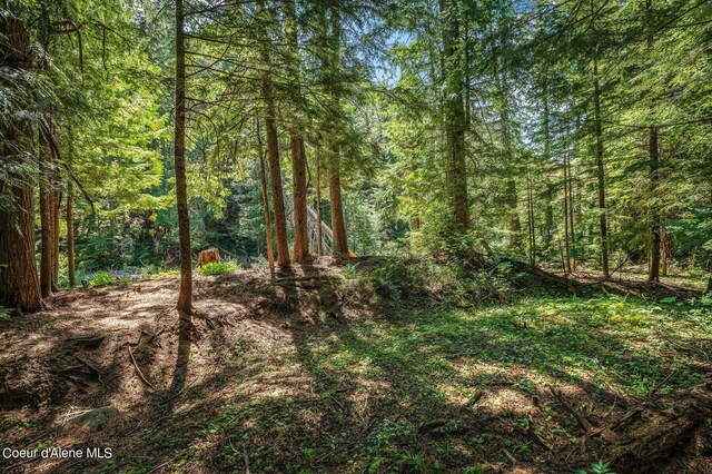 NNA Grouse Creek Rd, Sandpoint, ID 83864 - photo 36