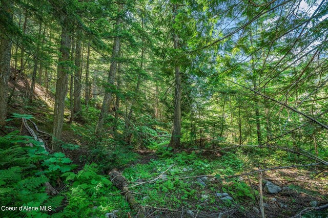 NNA Grouse Creek Rd, Sandpoint, ID 83864 - photo 40