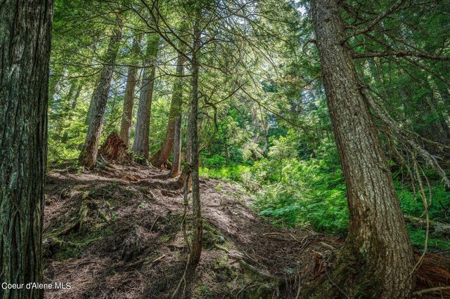 NNA Grouse Creek Rd, Sandpoint, ID 83864 - photo 41