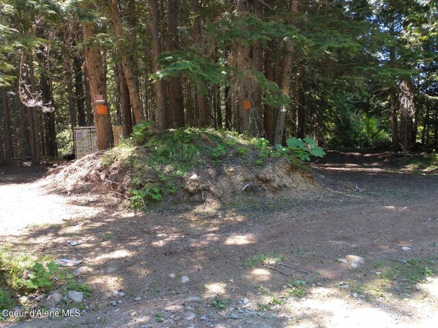 NNA Grouse Creek Rd, Sandpoint, ID 83864 - photo 16