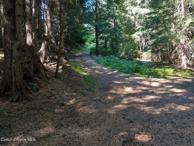 NNA Grouse Creek Rd, Sandpoint, ID 83864 - photo 17