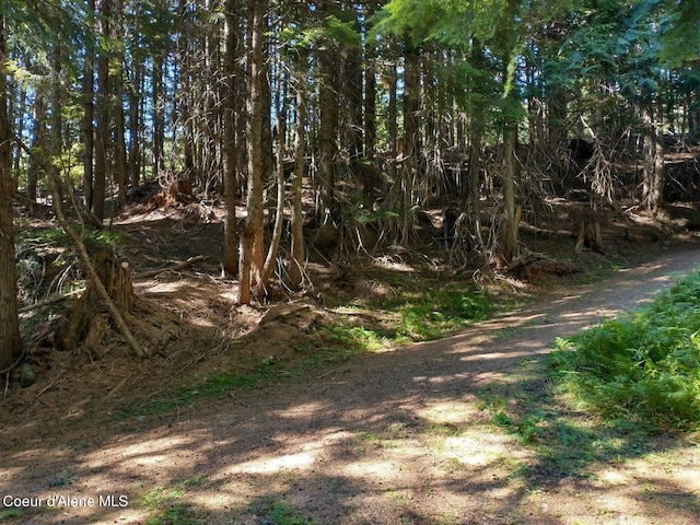 NNA Grouse Creek Rd, Sandpoint, ID 83864 - photo 19