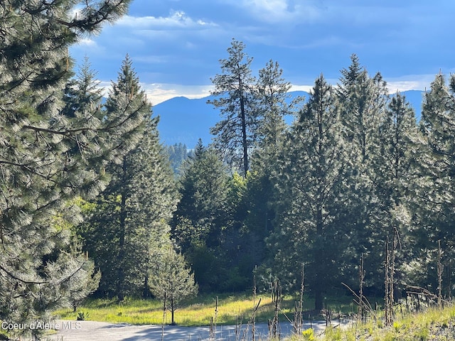 6557 S Buckrail Rd, Harrison, ID 83833