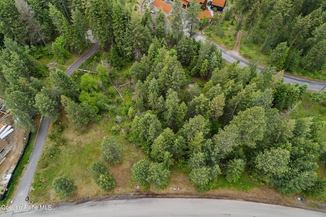 6557 S Buckrail Rd, Harrison, ID 83833