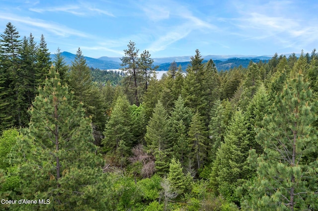6557 S Buckrail Rd, Harrison, ID 83833