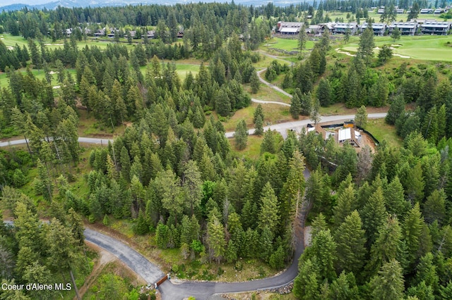 6557 S Buckrail Rd, Harrison, ID 83833