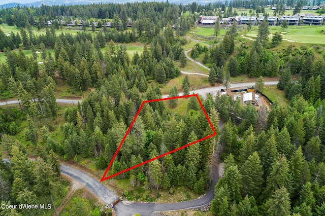 6557 S Buckrail Rd, Harrison, ID 83833