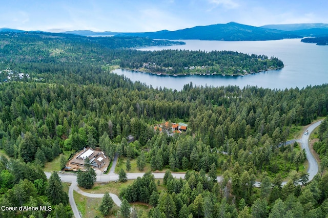 6557 S Buckrail Rd, Harrison, ID 83833