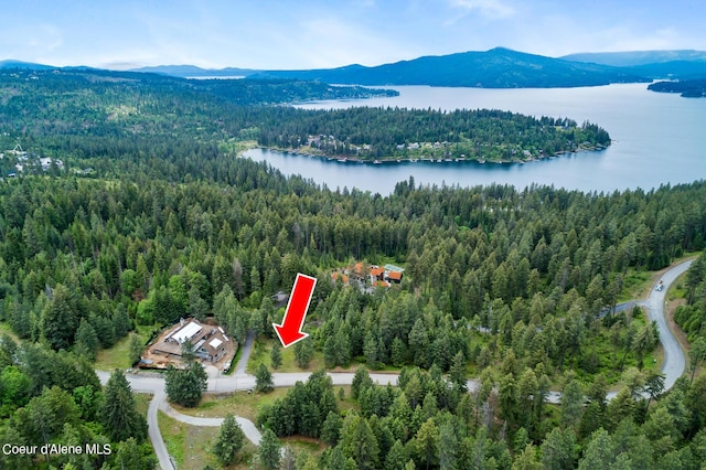 6557 S Buckrail Rd, Harrison, ID 83833