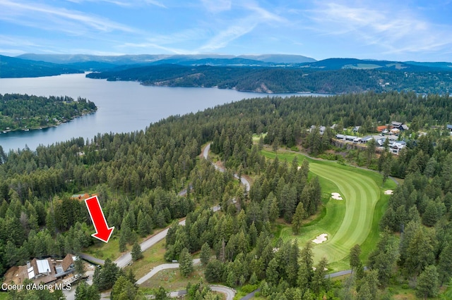 6557 S Buckrail Rd, Harrison, ID 83833