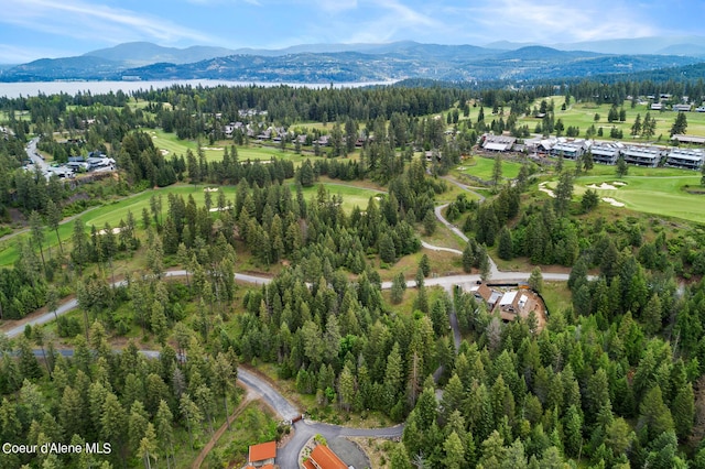 6557 S Buckrail Rd, Harrison, ID 83833