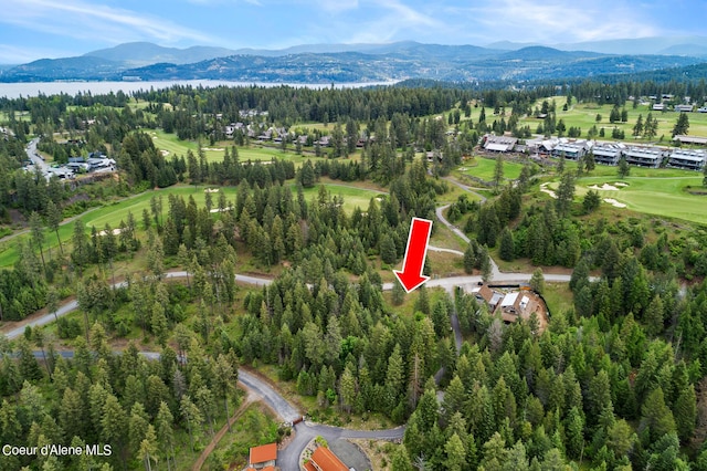 6557 S Buckrail Rd, Harrison, ID 83833