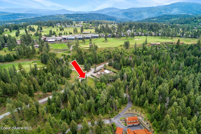 6557 S Buckrail Rd, Harrison, ID 83833