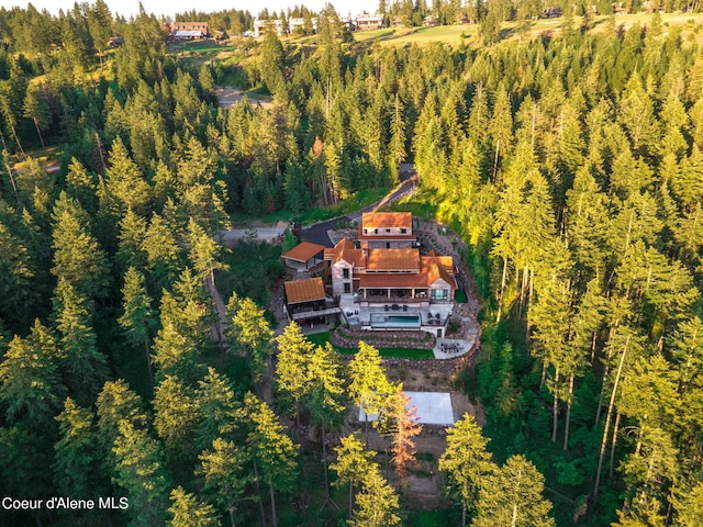 6361 S Cormorant Ct, Harrison, ID 83833 - view of subject property with a heavily wooded area