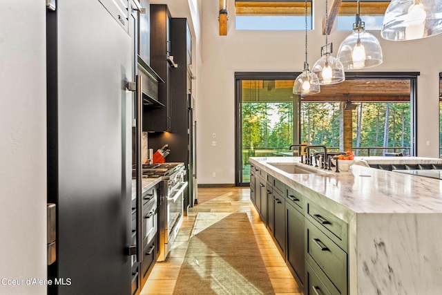 6361 S Cormorant Ct, Harrison, ID 83833 - kitchen with stainless steel appliances, a sink, light wood-type flooring, a towering ceiling, and pendant lighting