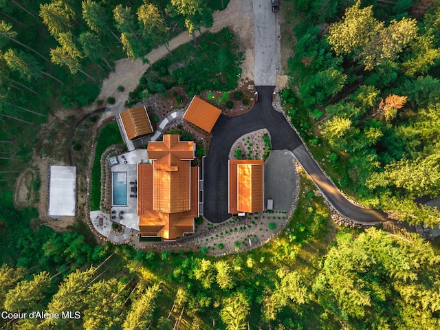 6361 S Cormorant Ct, Harrison, ID 83833 - aerial view of property and surrounding area