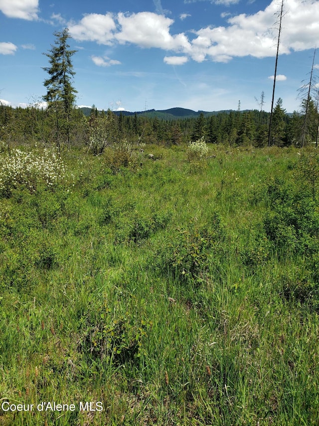 313 Sunset Dr, Fernwood, ID 83830