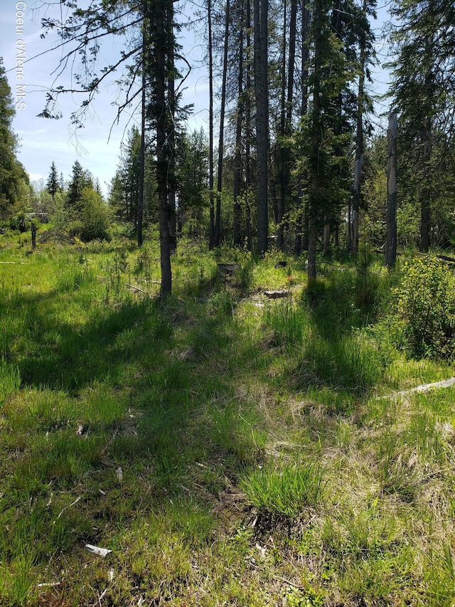 313 Sunset St, Fernwood, ID 83830