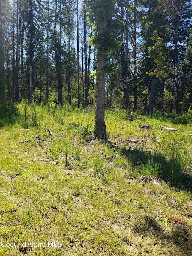 313 Sunset St, Fernwood, ID 83830
