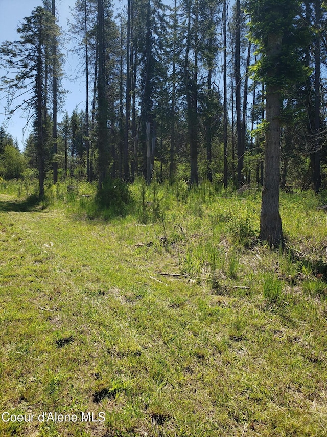 313 Sunset St, Fernwood, ID 83830