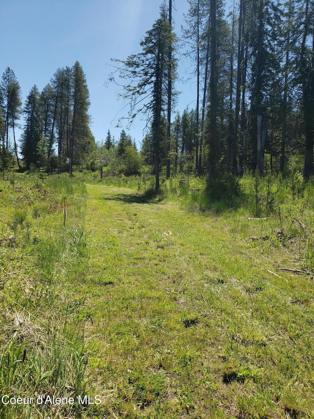 313 Sunset St, Fernwood, ID 83830