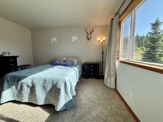 3 Kingston Way, Kingston, ID 83839 - photo 37