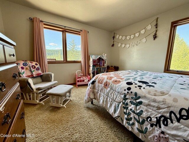 3 Kingston Way, Kingston, ID 83839 - photo 33