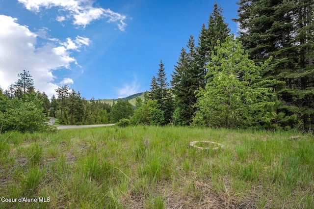 KNA W Bella Ridge Dr, Coeur Dalene, ID 83814 - photo 2