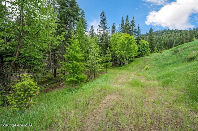 KNA W Bella Ridge Dr, Coeur Dalene, ID 83814 - photo 3