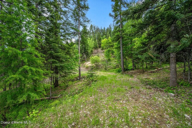 KNA W Bella Ridge Dr, Coeur Dalene, ID 83814 - photo 5