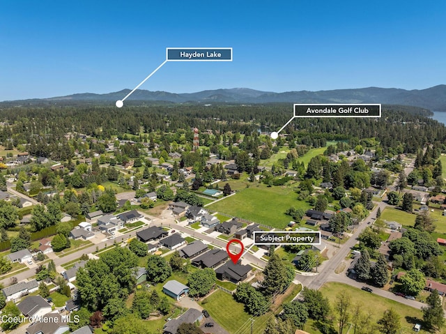 1456 E Ezra Ave, Hayden, ID 83835 - aerial view of a forest and a mountainous background
