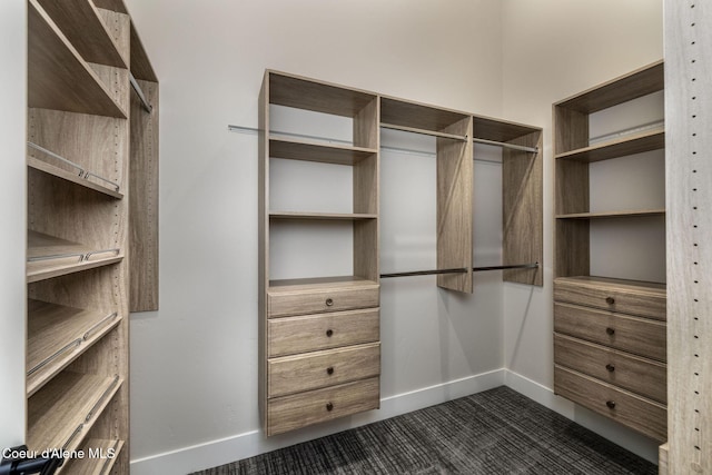 1456 E Ezra Ave, Hayden, ID 83835 - spacious closet featuring dark colored carpet