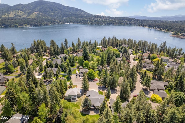 3061 E Lake Forest Dr, Hayden Lake, ID 83835 - aerial view of residential area with a water and mountain view and a forest