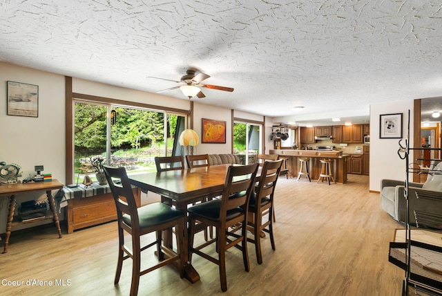 272 Hidden Springs Rd, Sandpoint, ID 83864 - dining room featuring a ceiling fan, healthy amount of natural light, light wood finished floors, and a textured ceiling