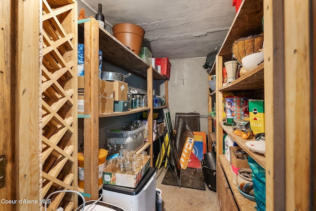 272 Hidden Springs Rd, Sandpoint, ID 83864 - view of storage room