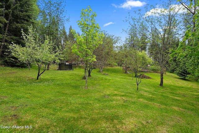 272 Hidden Springs Rd, Sandpoint, ID 83864 - view of green lawn