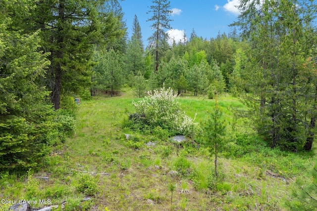 NNA Destiny Bay Road, Sagle, ID 83860 - photo 2