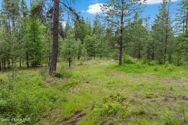 NNA Destiny Bay Road, Sagle, ID 83860 - photo 3