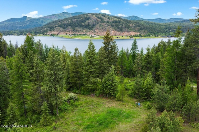 NNA Destiny Bay Road, Sagle, ID 83860 - photo 4