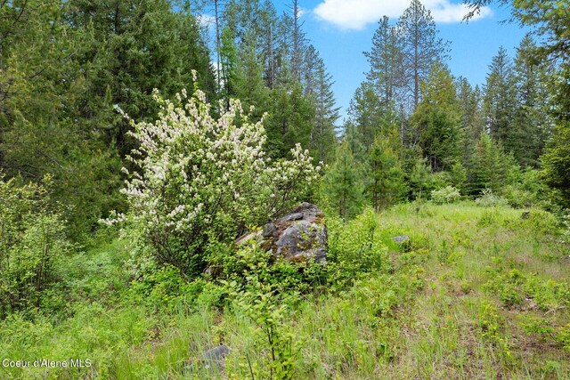 NNA Destiny Bay Road, Sagle, ID 83860 - photo 6