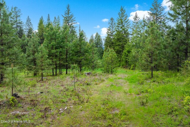 NNA Destiny Bay Road, Sagle, ID 83860 - photo 8