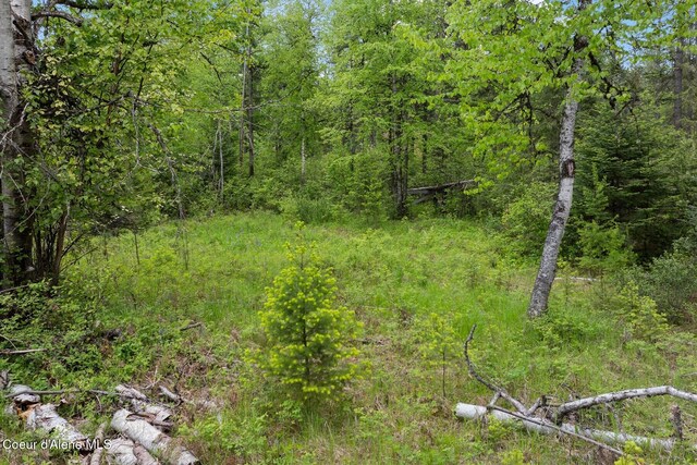 NNA Destiny Bay Road, Sagle, ID 83860 - photo 9