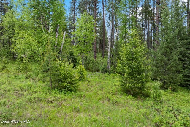 NNA Destiny Bay Road, Sagle, ID 83860 - photo 10
