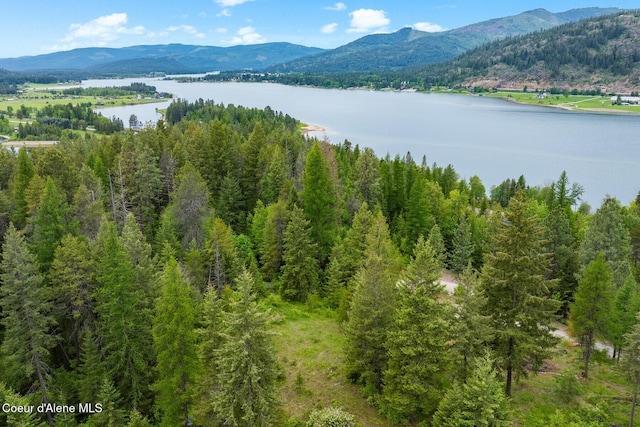 NNA Destiny Bay Road, Sagle, ID 83860 - photo 14