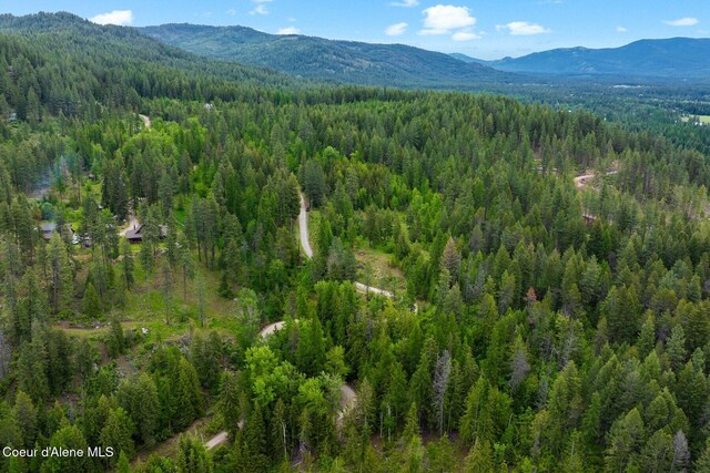 NNA Destiny Bay Road, Sagle, ID 83860 - photo 17