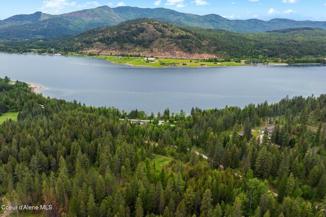 NNA Destiny Bay Road, Sagle, ID 83860 - photo 19