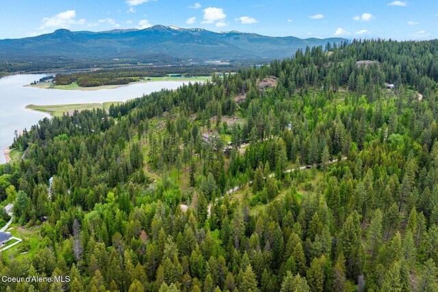 NNA Destiny Bay Road, Sagle, ID 83860 - photo 24